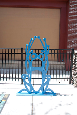 Toledo-frog.jpg Toledo-frog.jpg